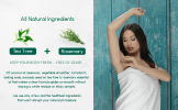 BeNat All Natural Plastic-Free Deodorant 3oz - Aluminum-Free Eco-Friendly Stick for Men & Women