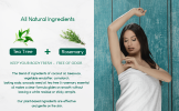 BeNat All Natural Plastic-Free Deodorant 3oz - Aluminum-Free Eco-Friendly Stick for Men & Women
